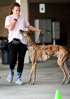 Scentwork_Leonberger_NCS_11-16-24_Exterior_012