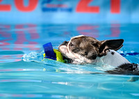 DockDiving_SplashPaws_11-4-24_019