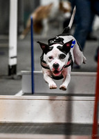 FlyBall_Wizard_of_Oz_Baytown_11-2-24_013