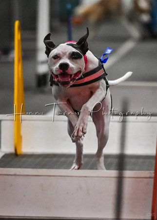 FlyBall_Wizard_of_Oz_Baytown_11-2-24_016