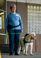 Scentwork_Leonberger_MCRBTC_4-5-25_Exterior_016
