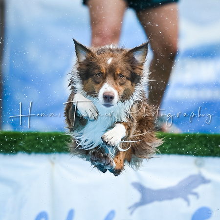 Dockdiving_Splashpaws_4-3-25_802