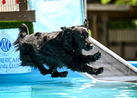 SplashPaws_AirRetrieve_HydroDash_5-1-25_025