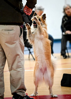 AKC_Nosework_Banff_1-19-25_Containers_019