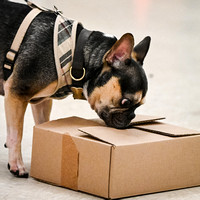 Scentwork_HAk9_MCRBTC_4-6-25_Containers_004