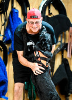 UKC_Nosework_SIRE_11-3-24_435