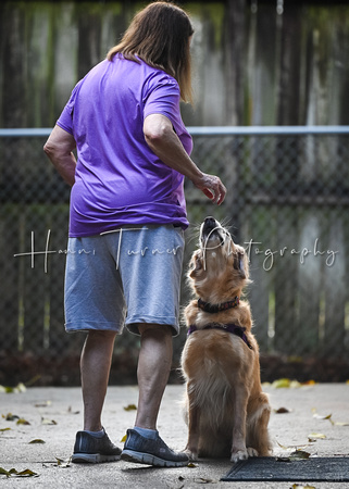 Scentwork_UKC_Banff_12-15-24_Detective_07
