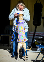 AKC_Nosework_Banff_1-19-25_Exteriors_019