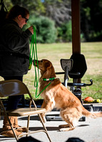 AKC_Nosework_Banff_1-19-25_Exteriors_002