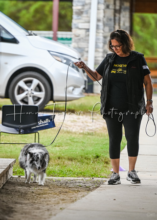 UKC_Nosework_SIRE_11-3-24_295