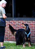 LeonbergerScentTrial_NLCHS_10-7-24_Exterior411