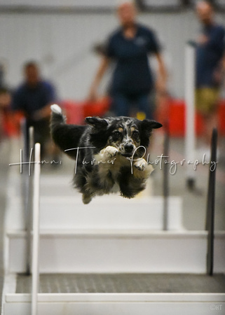 Flyball_Dogwarts_6-25-23_11