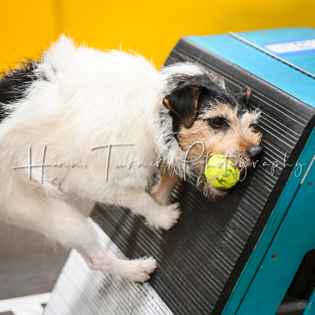 FlyBall_Wizard_of_Oz_Baytown_11-2-24_608