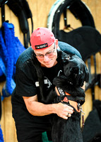 UKC_Nosework_SIRE_11-3-24_436