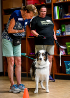 LeonbergerScentTrial_NLCHS_10-7-24_Interior005