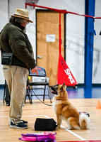AKC_Nosework_Banff_1-19-25_Containers_008