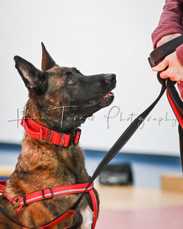 AKC_Nosework_Banff_1-19-25_Containers_8x10_273