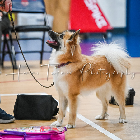AKC_Nosework_Banff_1-19-25_Containers_006