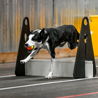 FlyBall_Wizard_of_Oz_Baytown_11-2-24_621