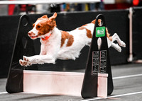 FlyBall_Wizard_of_Oz_Baytown_11-2-24_340