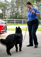 UKC_Nosework_SIRE_3-15-25_Vehicles_025