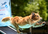 SplashPaws_AirRetrieve_HydroDash_5-1-25_019