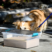 AKC_Nosework_Banff_1-19-25_Burried_005