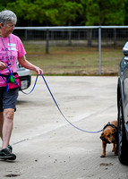 UKC_Nosework_SIRE_11-3-24_034