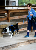 UKC_Nosework_SIRE_11-3-24_251