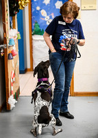 Scentwork_UKC_Banff_12-15-24_Interior_10