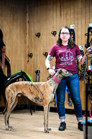 UKC_Nosework_SIRE_3-15-25_Interior_07