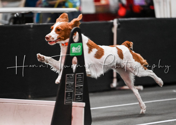 FlyBall_Wizard_of_Oz_Baytown_11-2-24_339