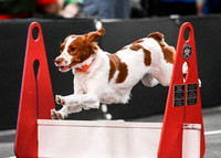 FlyBall_Wizard_of_Oz_Baytown_11-2-24_338