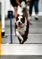 FlyBall_Wizard_of_Oz_Baytown_11-2-24_594