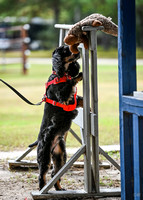 UKC_Nosework_SIRE_11-3-24_306