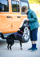 UKC_Nosework_SIRE_3-16-25_Vehicles_004