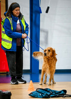 AKC_Nosework_Banff_1-19-25_Containers_022