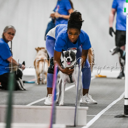 FlyBall_Wizard_of_Oz_Baytown_11-2-24_342