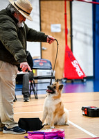 AKC_Nosework_Banff_1-19-25_Containers_012