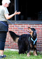 LeonbergerScentTrial_NLCHS_10-7-24_Exterior412