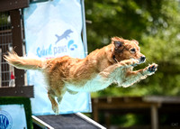 SplashPaws_AirRetrieve_HydroDash_5-1-25_018