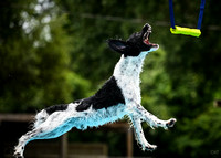 SplashPaws_HydroDashAirRetrieve_5-2-25_222