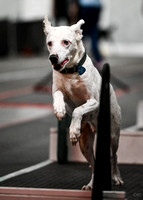 FlyBall_Wizard_of_Oz_Baytown_11-2-24_322