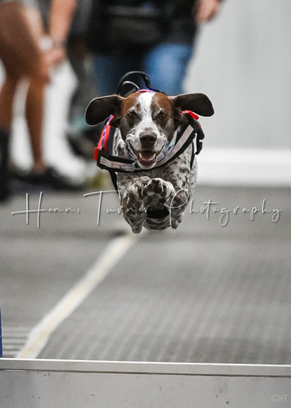 FlyBall_Wizard_of_Oz_Baytown_11-2-24_598