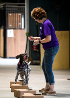UKC_Nosework_SIRE_3-15-25_Containers_015