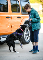 UKC_Nosework_SIRE_3-16-25_Vehicles_003