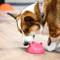 UKC_Nosework_SIRE_3-15-25_Interior_05