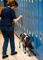 Scentwork_UKC_Banff_12-15-24_Interior_07