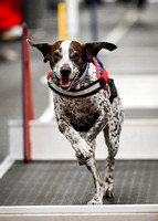 FlyBall_Wizard_of_Oz_Baytown_11-2-24_602