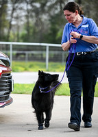 UKC_Nosework_SIRE_3-15-25_Vehicles_011